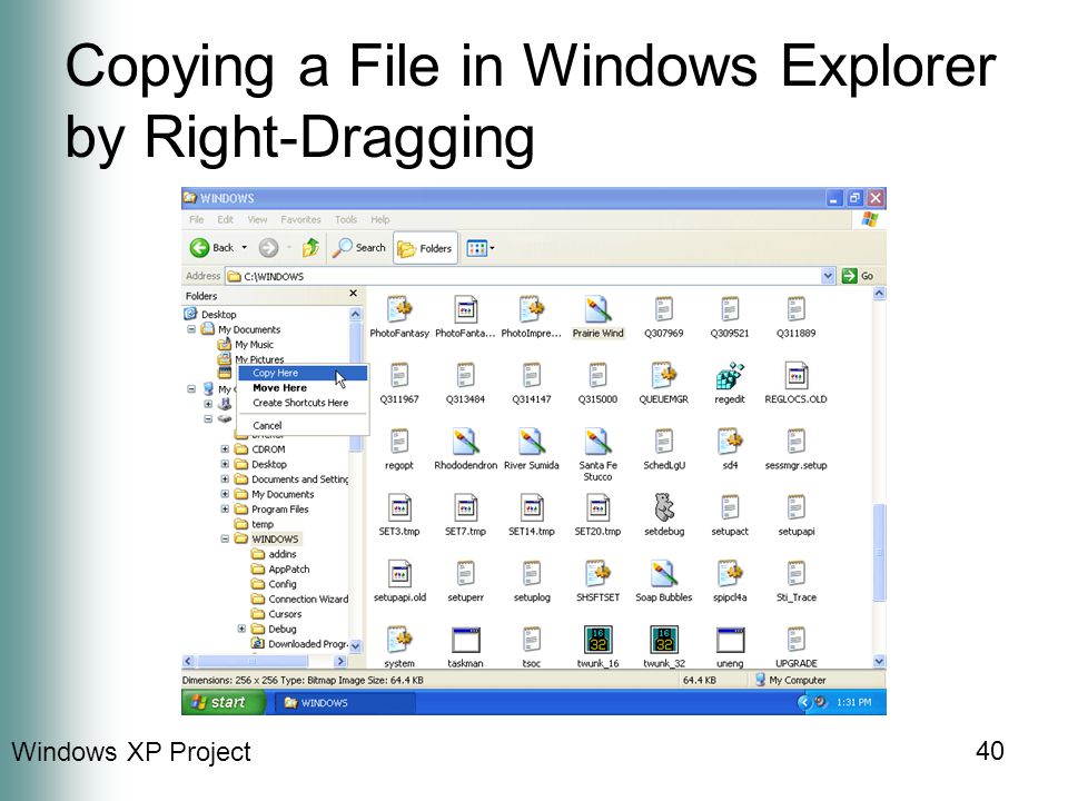 Windows XP Project 40 Copying a File in Windows Explorer by Right-Dragging