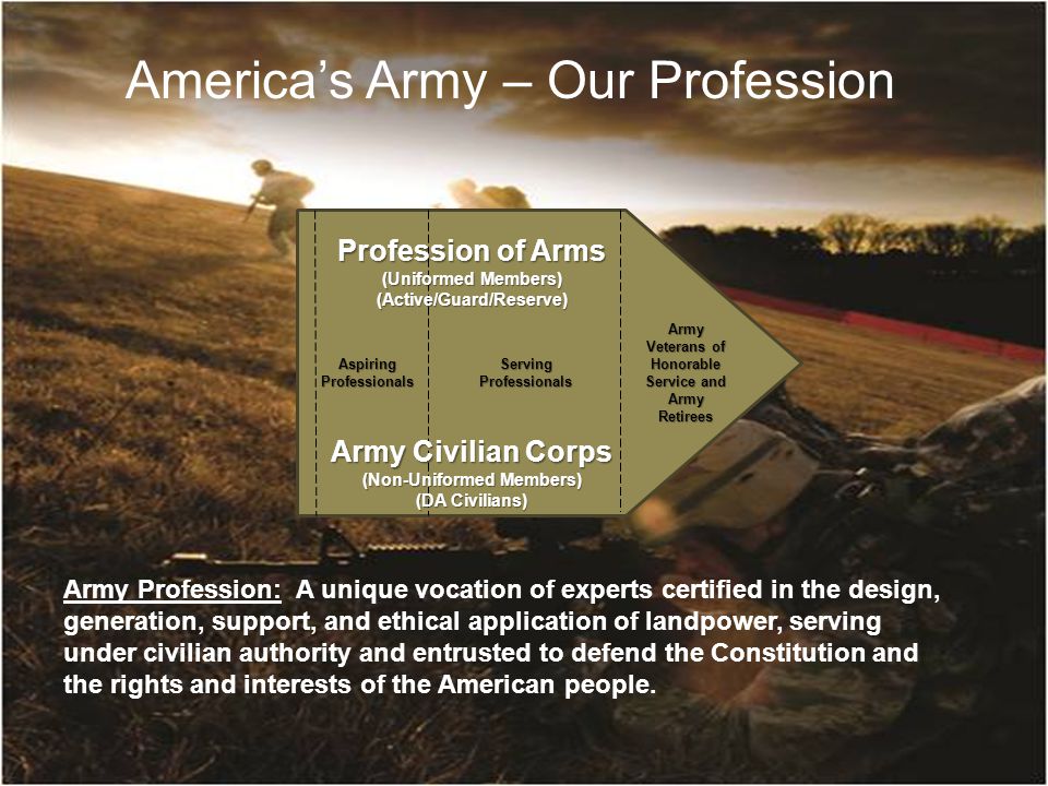the army as a profession