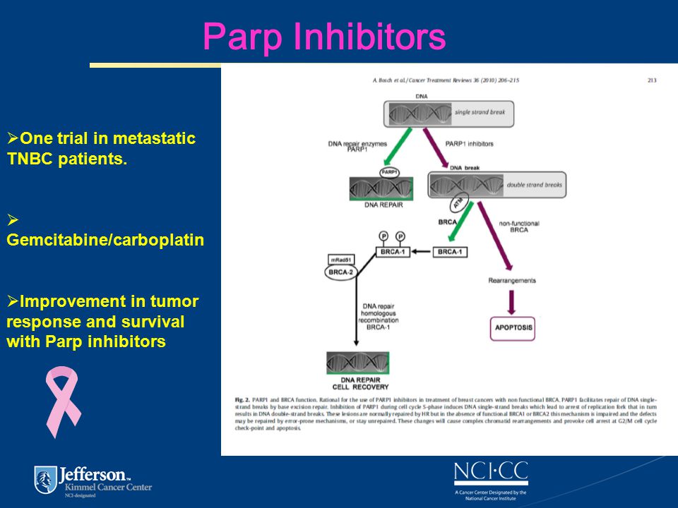 Parp Inhibitors  One trial in metastatic TNBC patients.