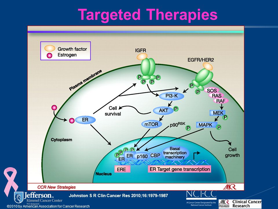 Johnston S R Clin Cancer Res 2010;16: ©2010 by American Association for Cancer Research Targeted Therapies