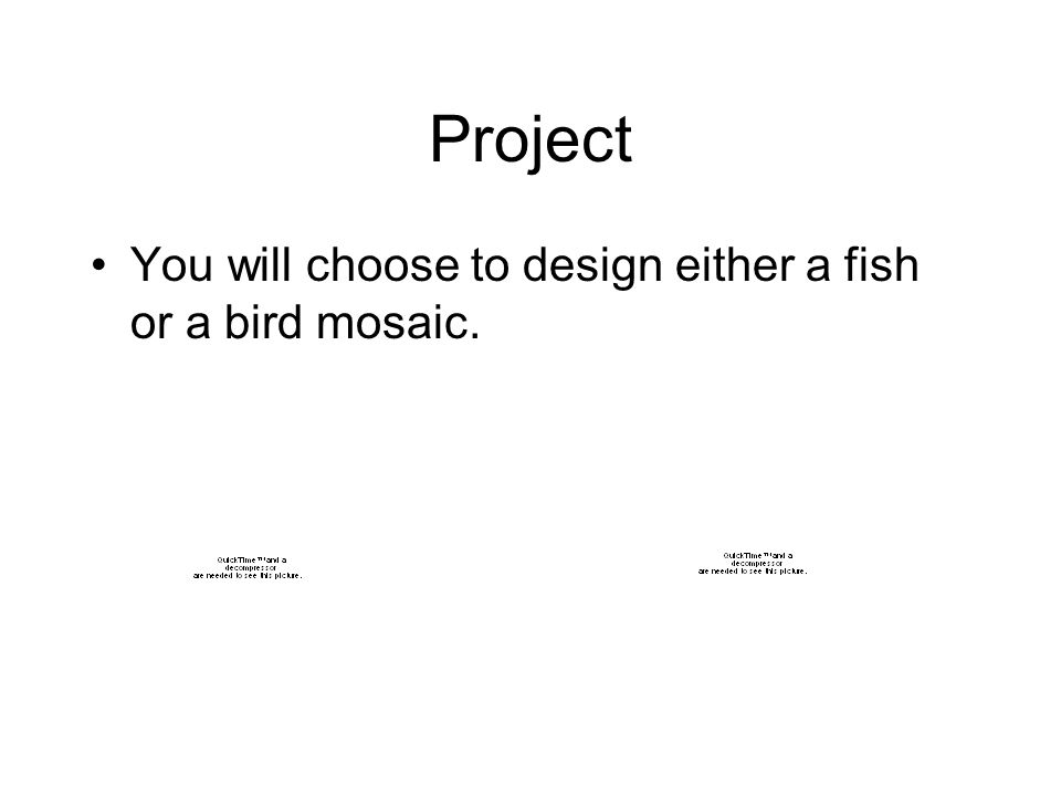 Project You will choose to design either a fish or a bird mosaic.