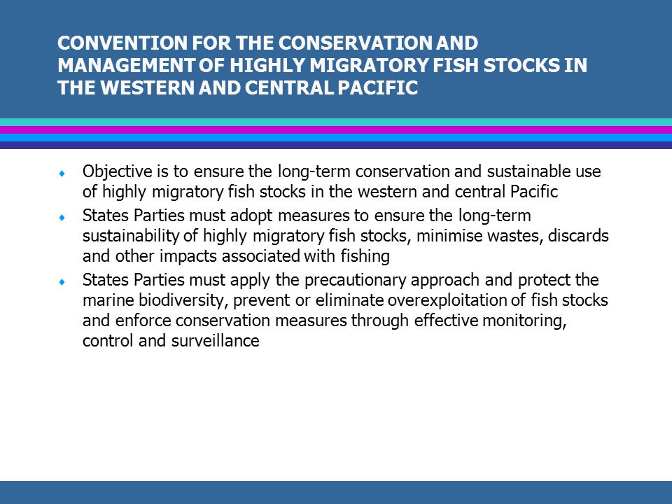 1995 FAO CODE OF CONDUCT FOR RESPONSIBLE FISHERIES  Fisheries management measures must ensure the protection of not only target species but also non-target, associated or dependent species  States must apply the precautionary principle in conserving, managing and exploiting fisheries resources and use selective fishing gear and reduce waste, discards and catch of non-target species  States must implement appropriate measures to minimise wastes, discards, ghost-fishing, bycatch and negative impacts of fishing on associated or dependent species  States should improve their understanding of the status of fisheries by collecting appropriate data and exchanging information with all relevant groups