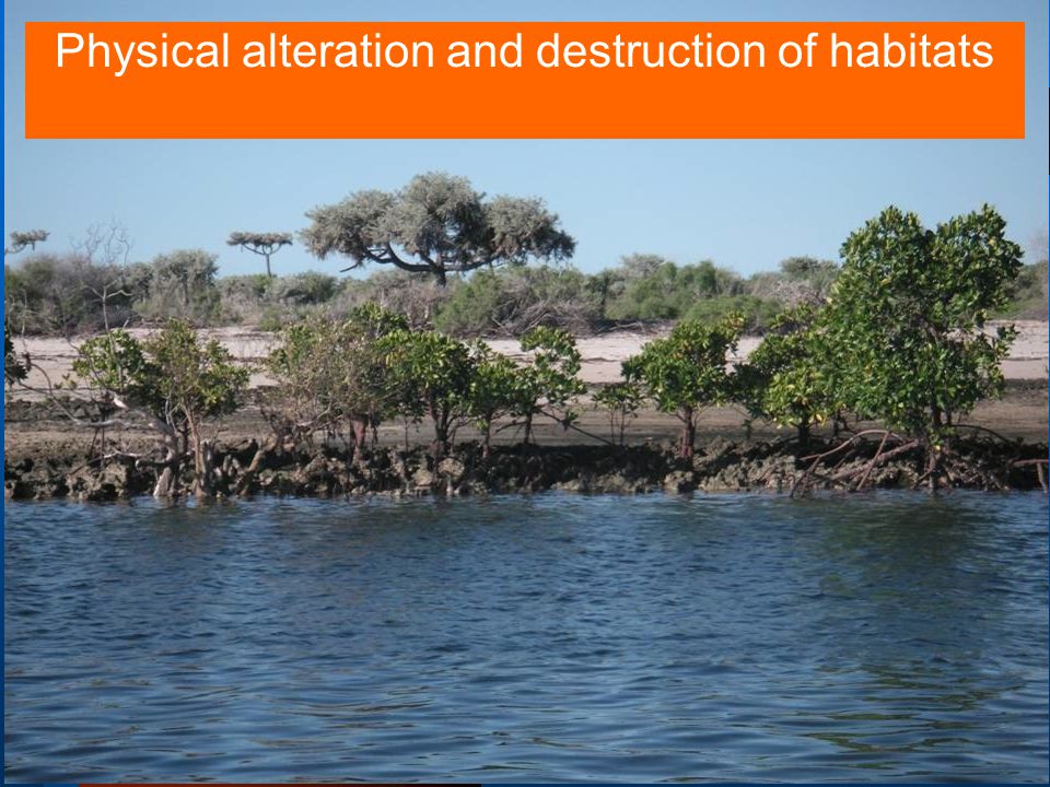 UNEP/GEF WIO-LaB Project18 Physical alteration and destruction of habitats