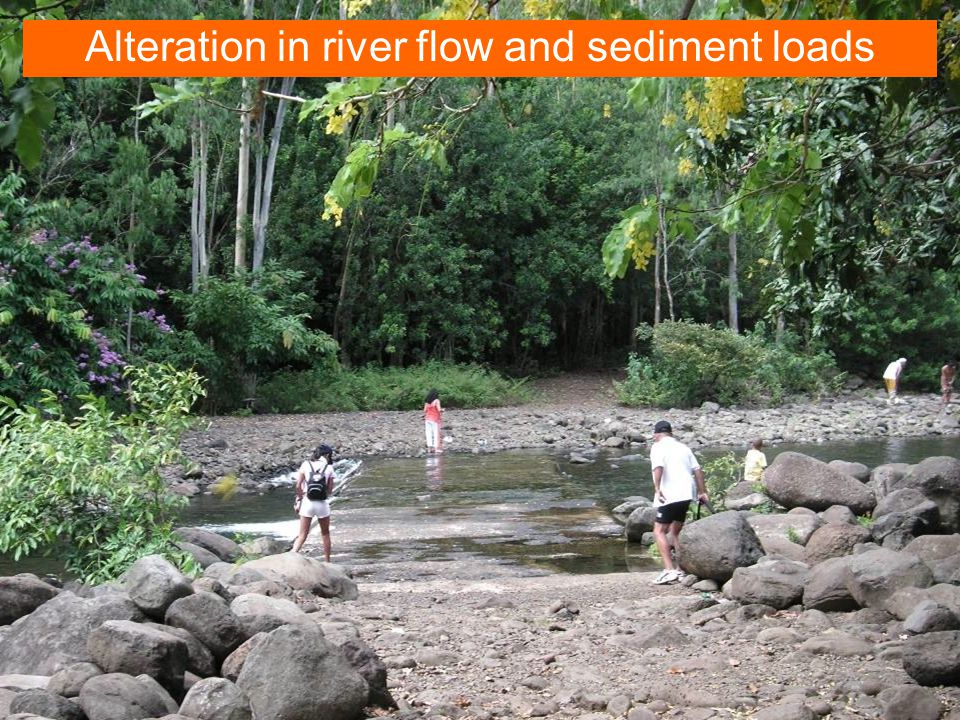 UNEP/GEF WIO-LaB Project19 Alteration in river flow and sediment loads