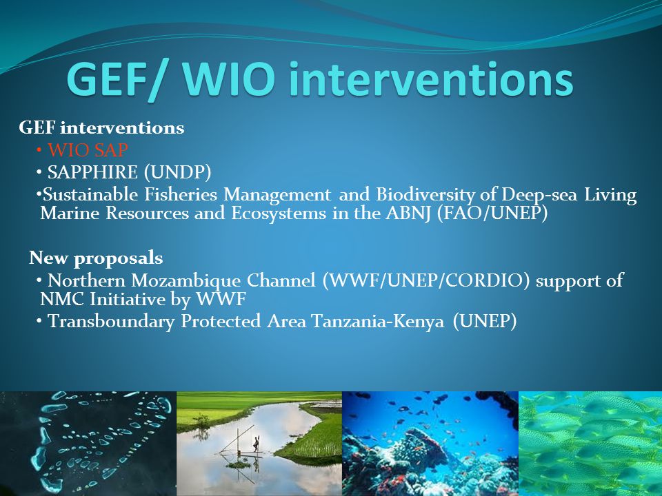 GEF/ WIO interventions GEF interventions WIO SAP SAPPHIRE (UNDP) Sustainable Fisheries Management and Biodiversity of Deep-sea Living Marine Resources and Ecosystems in the ABNJ (FAO/UNEP) New proposals Northern Mozambique Channel (WWF/UNEP/CORDIO) support of NMC Initiative by WWF Transboundary Protected Area Tanzania-Kenya (UNEP)