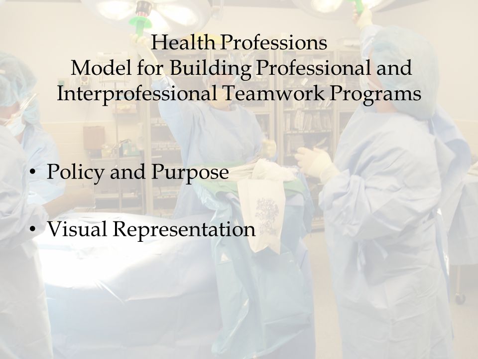 Health Professions Model for Building Professional and Interprofessional Teamwork Programs Policy and Purpose Visual Representation