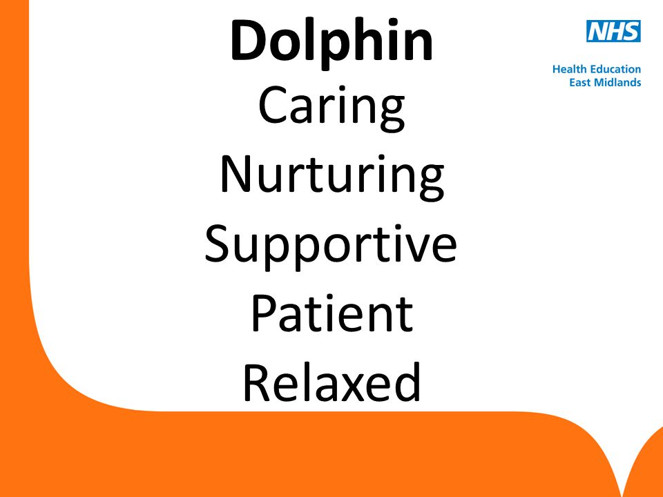 Dolphin Caring Nurturing Supportive Patient Relaxed