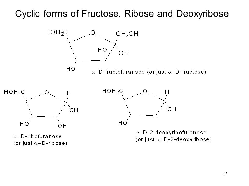13 Cyclic forms of Fructose, Ribose and Deoxyribose