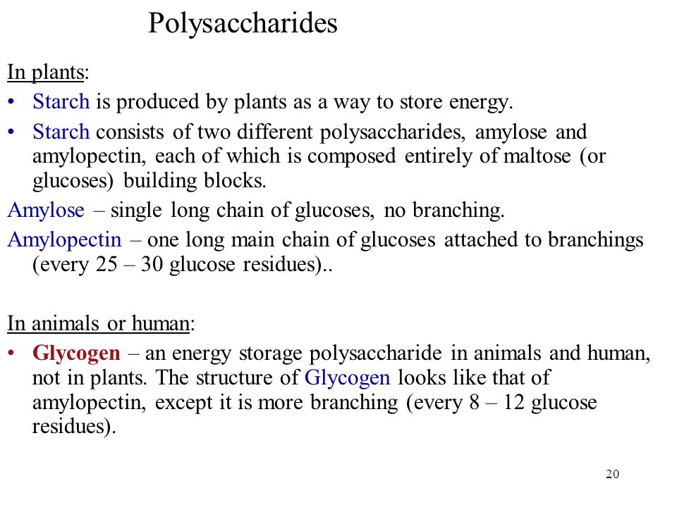 20 In plants: Starch is produced by plants as a way to store energy.