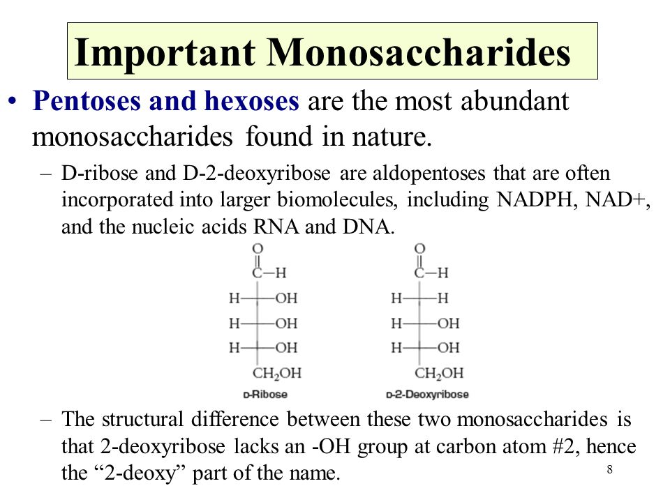 8 Pentoses and hexoses are the most abundant monosaccharides found in nature.