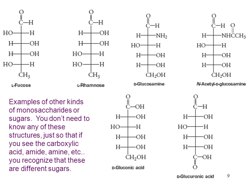9 Examples of other kinds of monosaccharides or sugars.