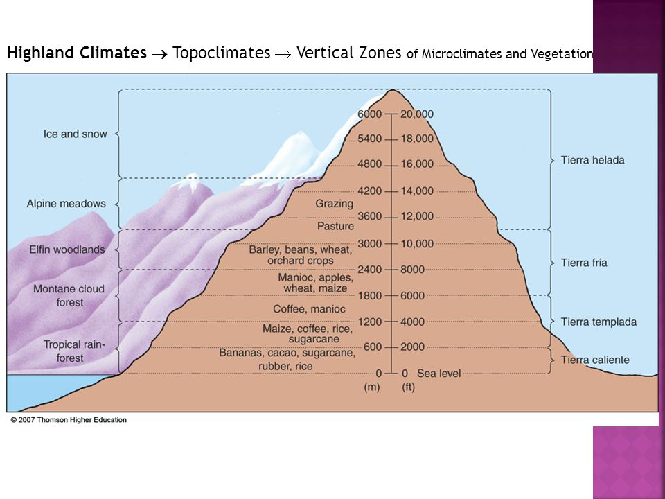 Highland Climates  Topoclimates  Vertical Zones of Microclimates and Vegetation