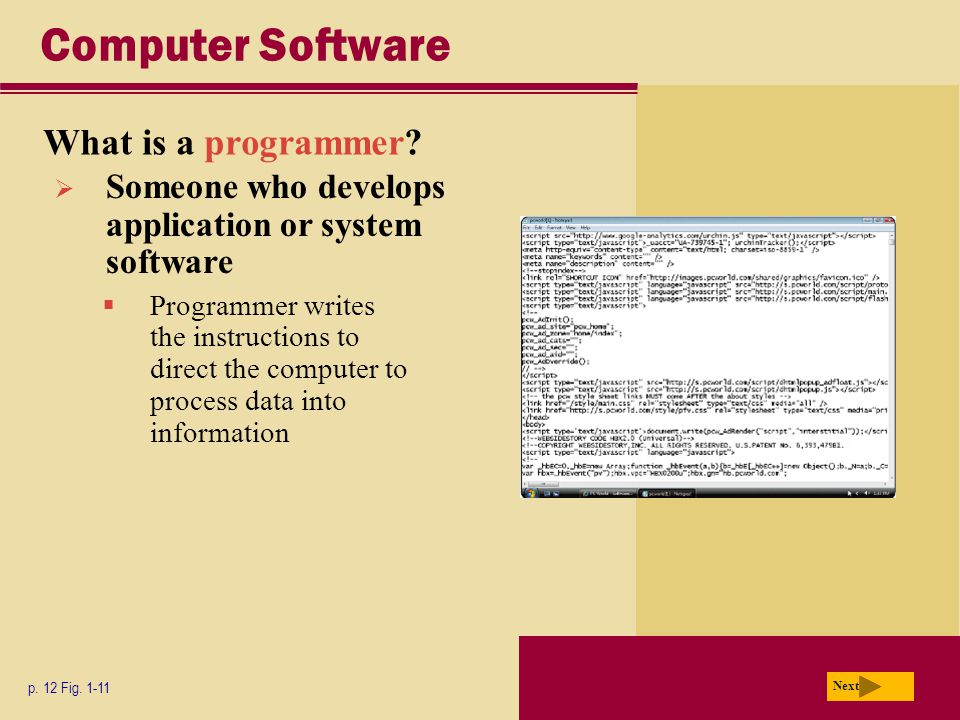 Computer Software What is a programmer. p. 12 Fig.