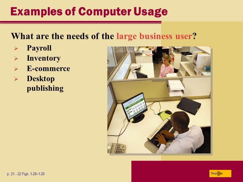 Examples of Computer Usage What are the needs of the large business user.