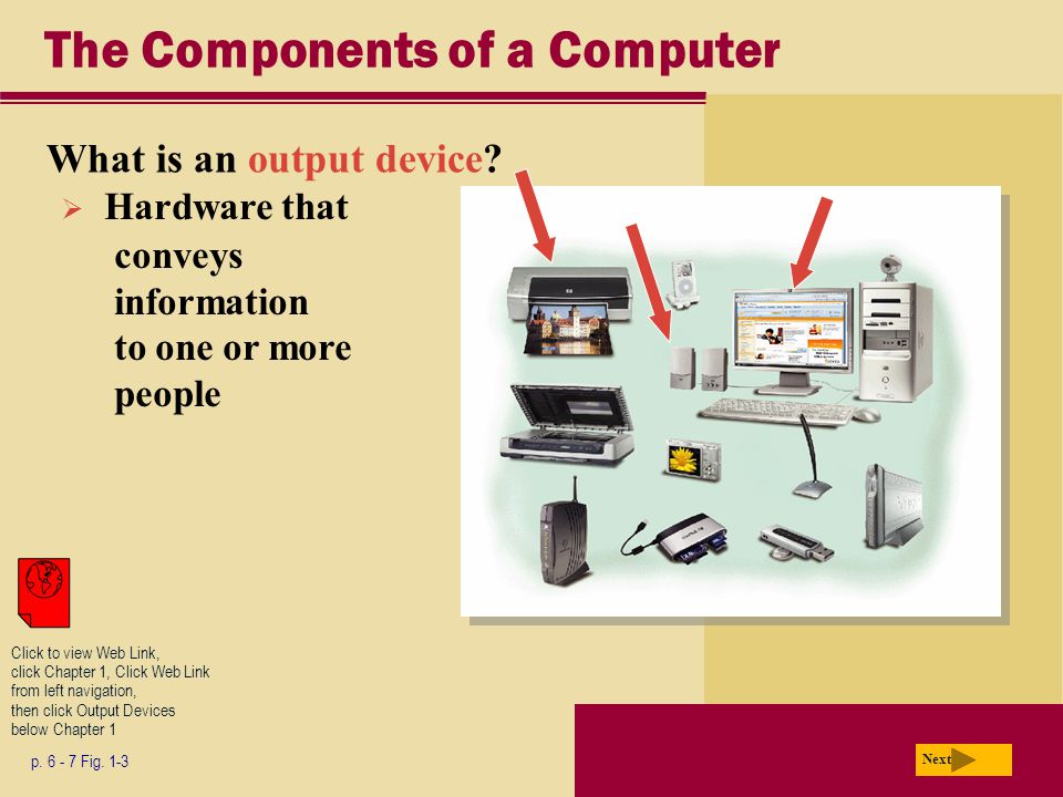 The Components of a Computer What is an output device.