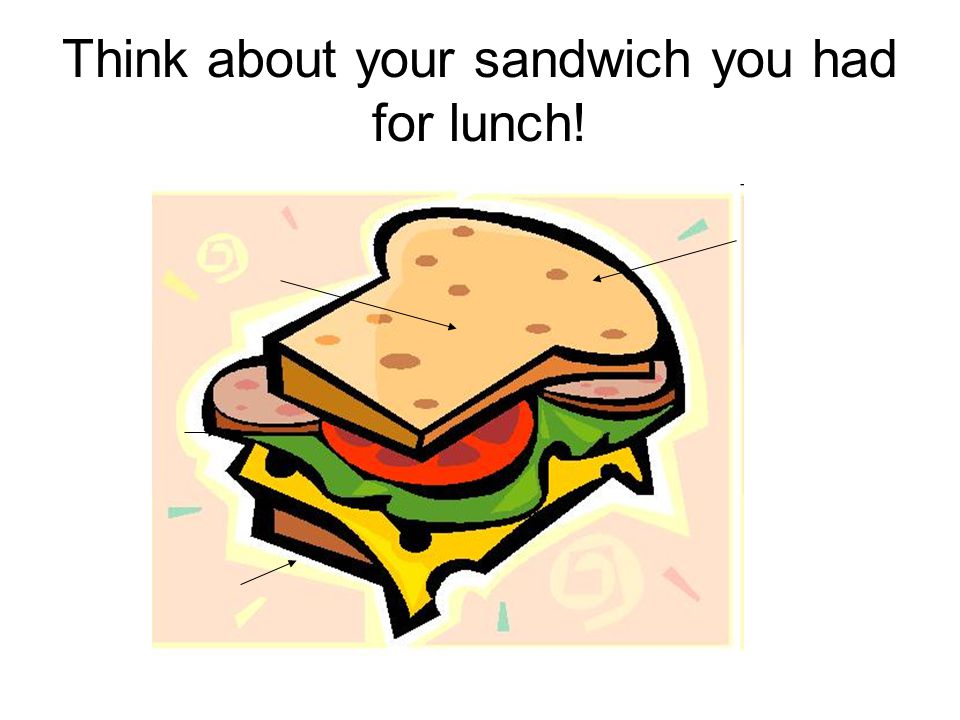 Think about your sandwich you had for lunch!