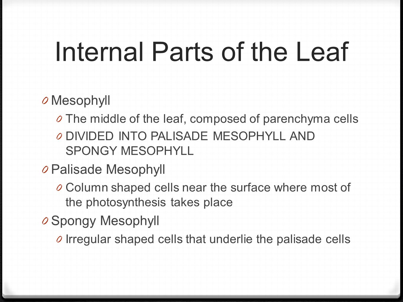 Internal Parts of the Leaf 0 Mesophyll 0 The middle of the leaf, composed of parenchyma cells 0 DIVIDED INTO PALISADE MESOPHYLL AND SPONGY MESOPHYLL 0 Palisade Mesophyll 0 Column shaped cells near the surface where most of the photosynthesis takes place 0 Spongy Mesophyll 0 Irregular shaped cells that underlie the palisade cells