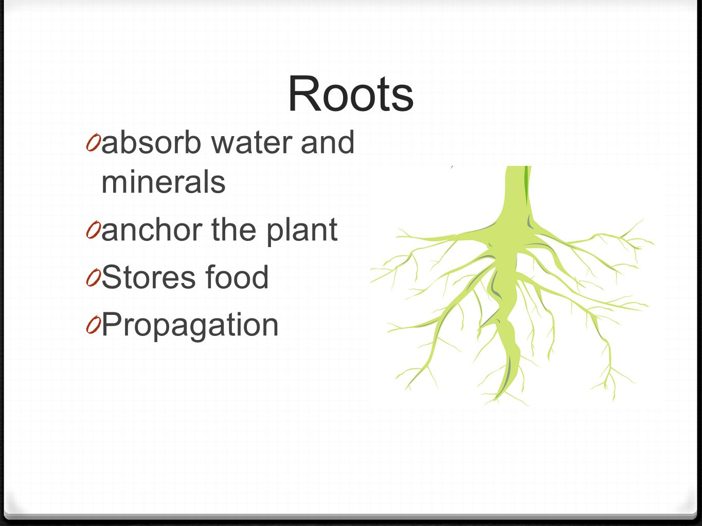 Roots 0 absorb water and minerals 0 anchor the plant 0 Stores food 0 Propagation