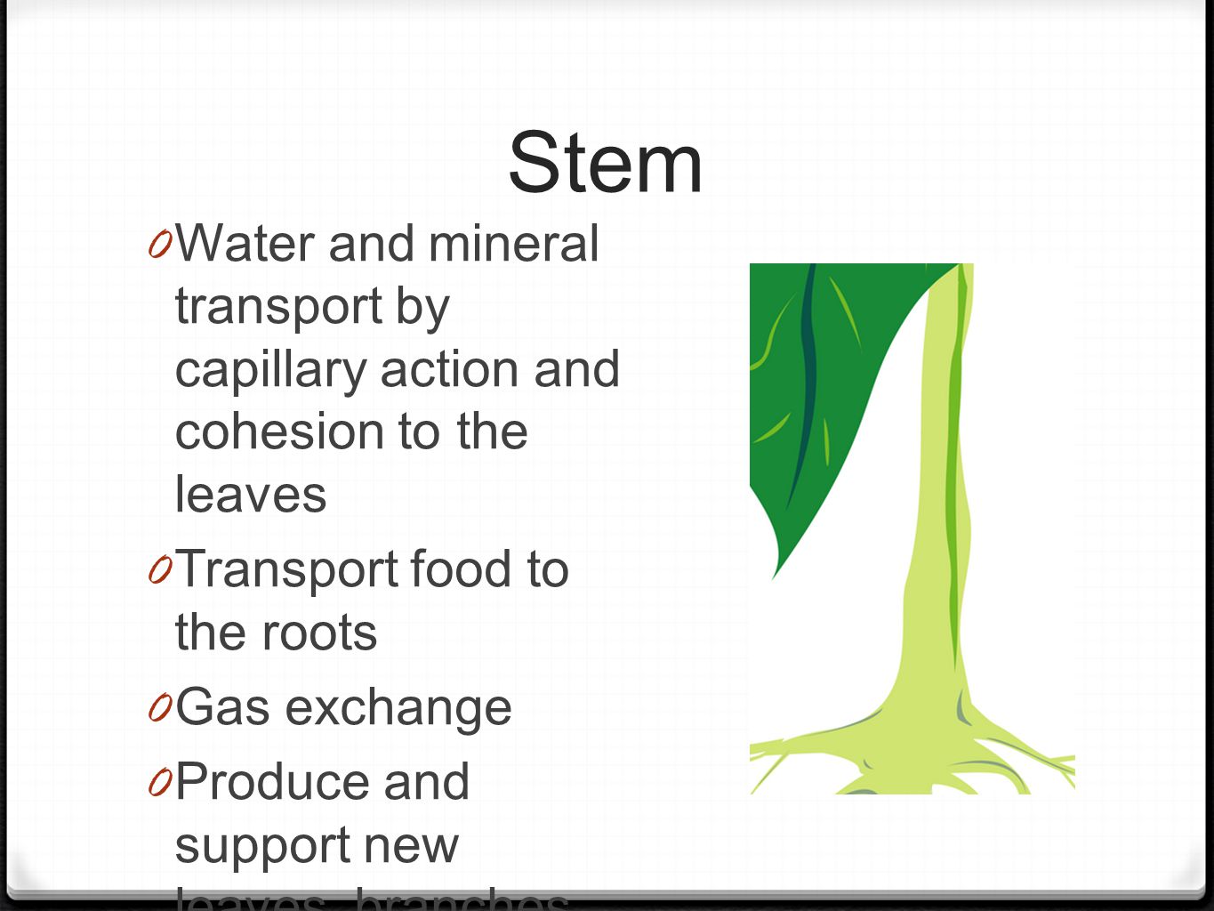 Stem 0 Water and mineral transport by capillary action and cohesion to the leaves 0 Transport food to the roots 0 Gas exchange 0 Produce and support new leaves, branches, and flowers