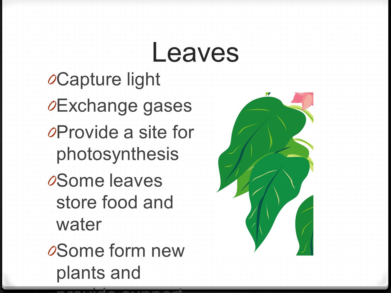 Leaves 0 Capture light 0 Exchange gases 0 Provide a site for photosynthesis 0 Some leaves store food and water 0 Some form new plants and provide support