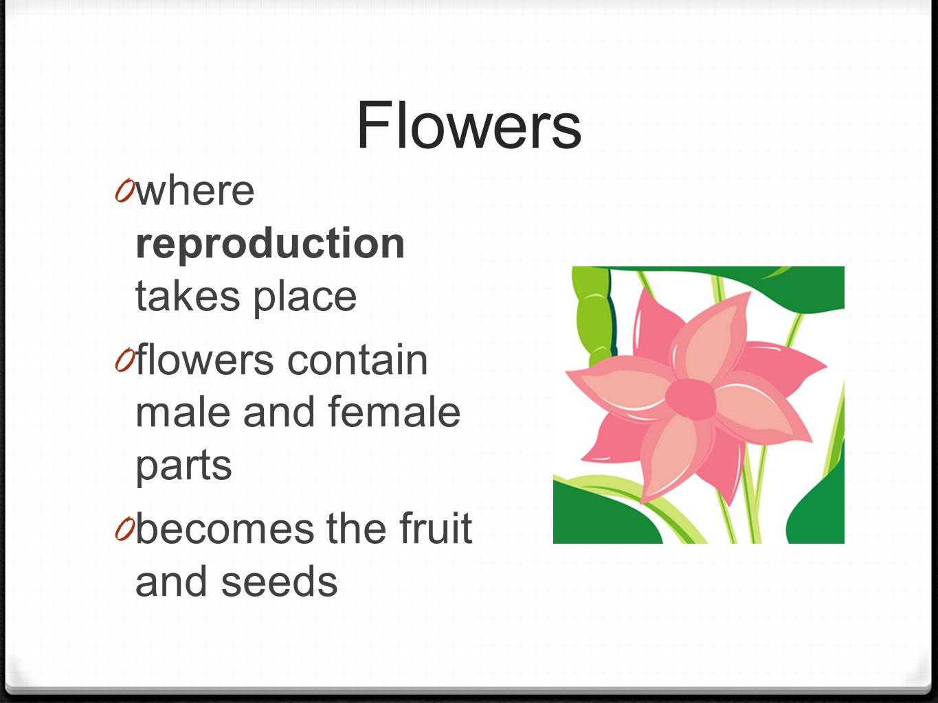 Flowers 0 where reproduction takes place 0 flowers contain male and female parts 0 becomes the fruit and seeds