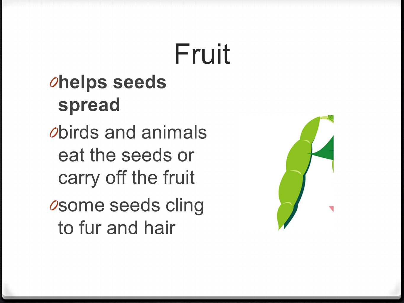 Fruit 0 helps seeds spread 0 birds and animals eat the seeds or carry off the fruit 0 some seeds cling to fur and hair