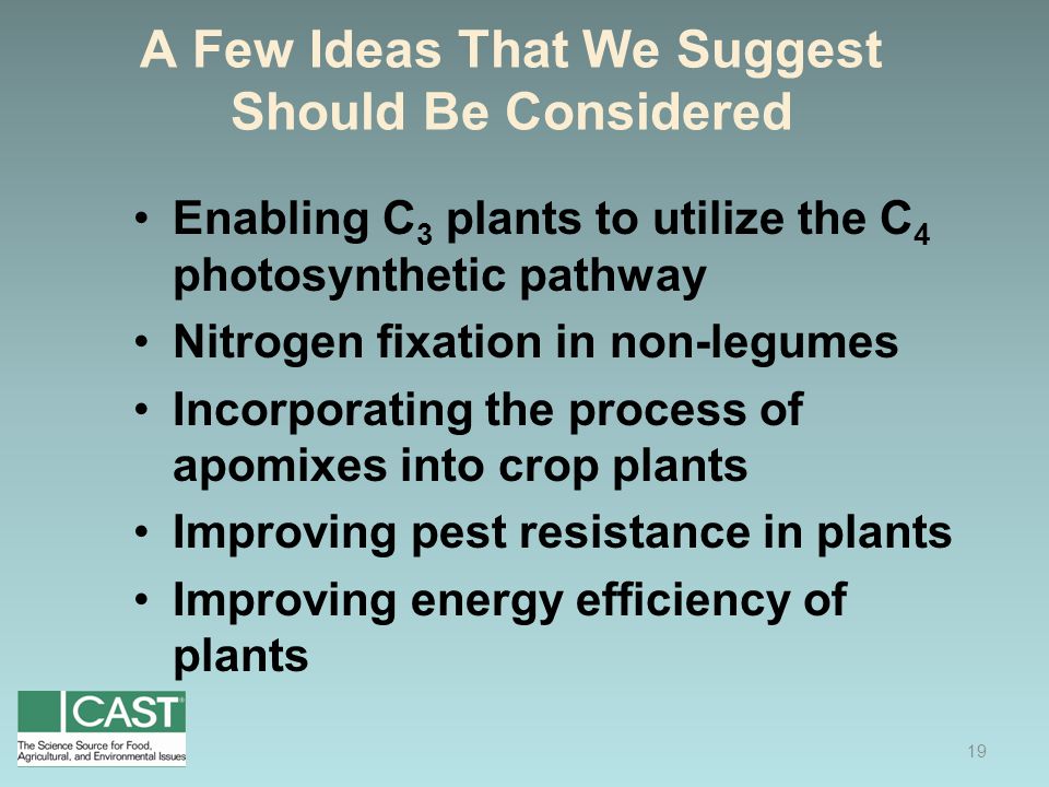 A Few Ideas That We Suggest Should Be Considered Enabling C 3 plants to utilize the C 4 photosynthetic pathway Nitrogen fixation in non-legumes Incorporating the process of apomixes into crop plants Improving pest resistance in plants Improving energy efficiency of plants 19