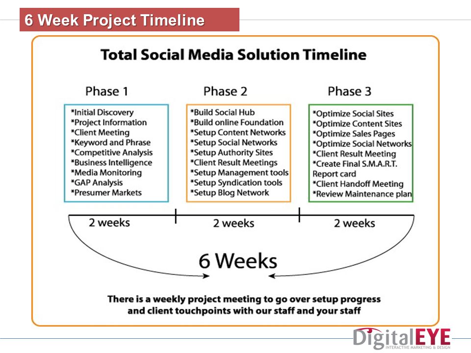6 Week Project Timeline