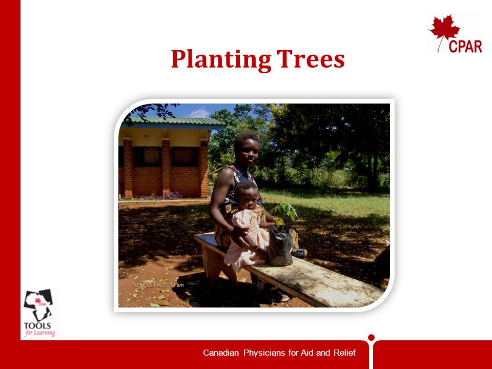 Canadian Physicians for Aid and Relief Planting Trees