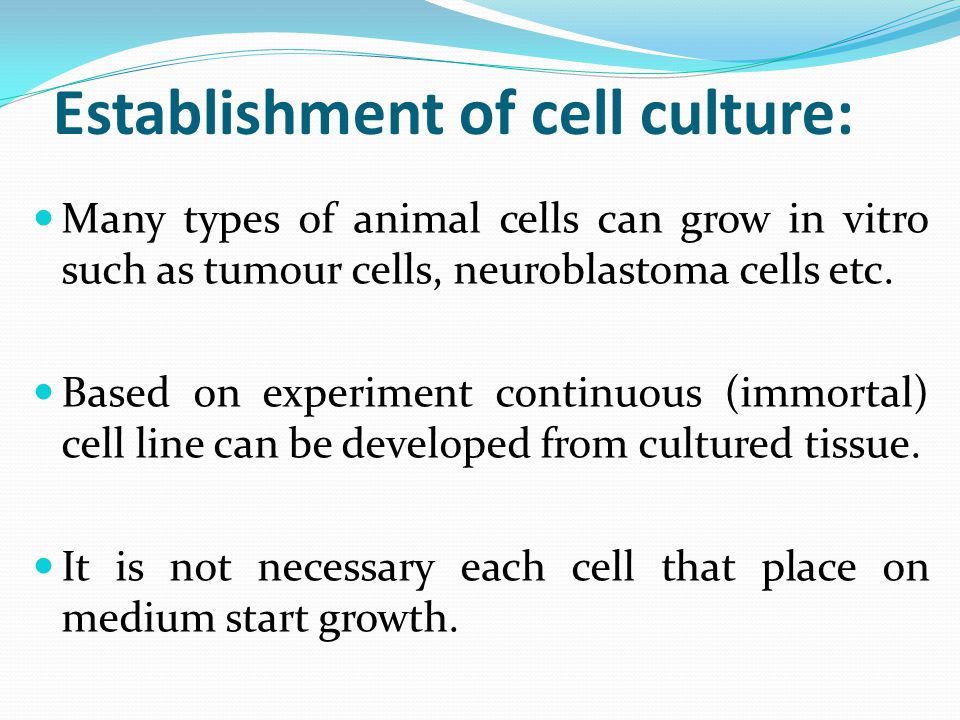 Lecture Animal Biotechnology Haji Akbar. Establishment of cell culture:  Many types of animal cells can grow in vitro such as tumour cells,  neuroblastoma. - ppt download