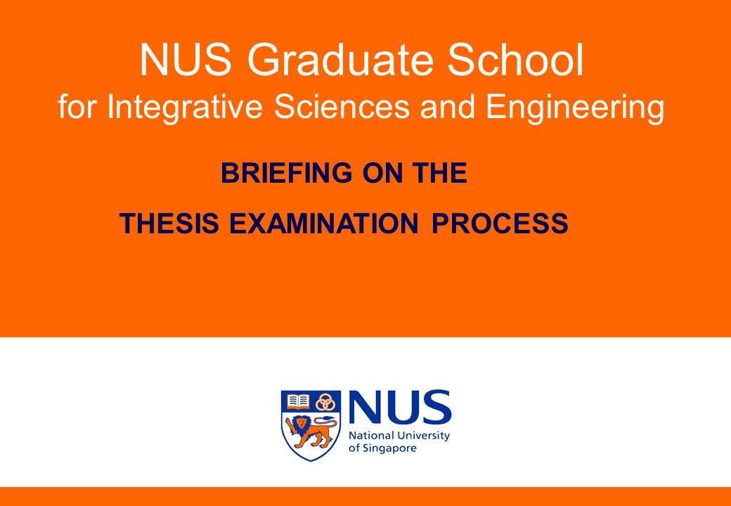 nus thesis examination