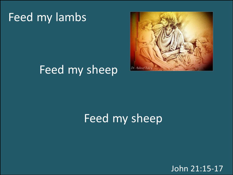 Feed my lambs John 21:15-17 Feed my sheep