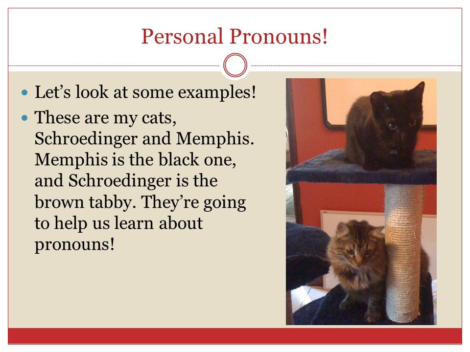 Personal Pronouns. Let’s look at some examples. These are my cats, Schroedinger and Memphis.