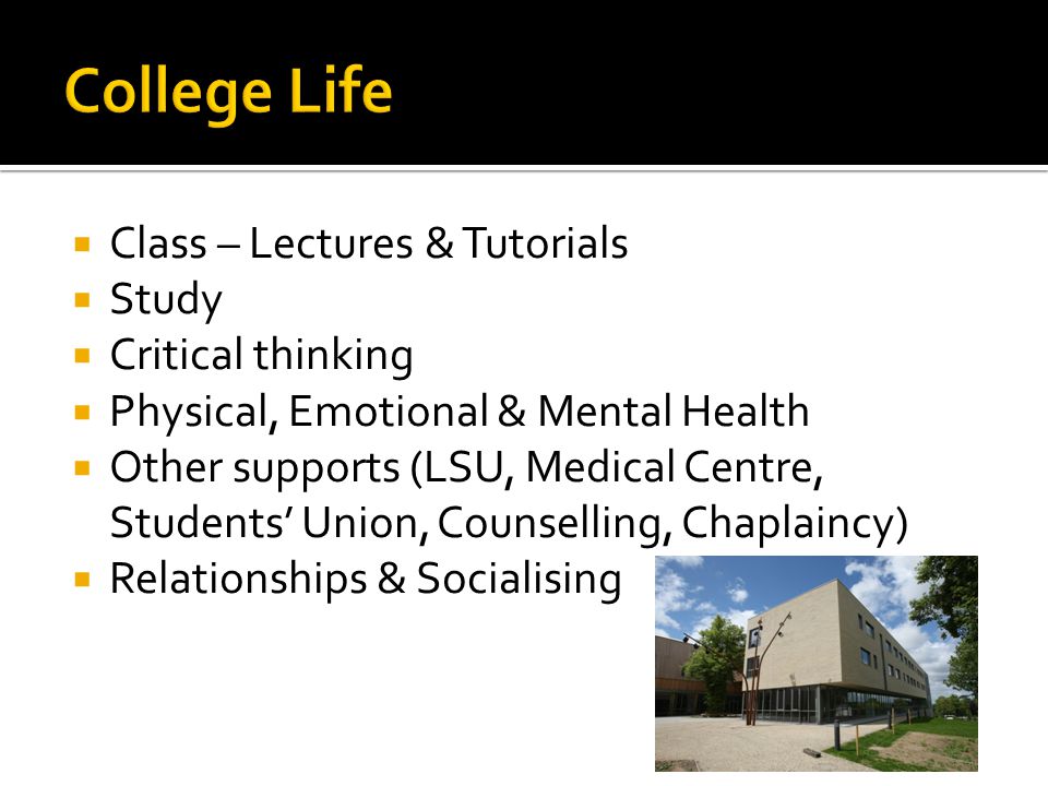  Class – Lectures & Tutorials  Study  Critical thinking  Physical, Emotional & Mental Health  Other supports (LSU, Medical Centre, Students’ Union, Counselling, Chaplaincy)  Relationships & Socialising
