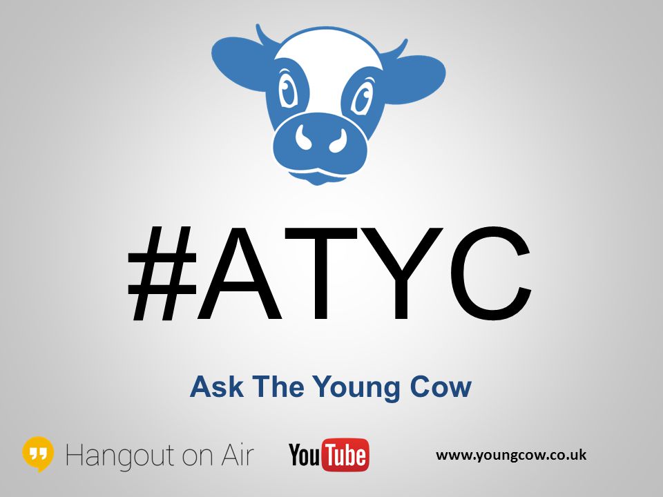 #ATYC Ask The Young Cow