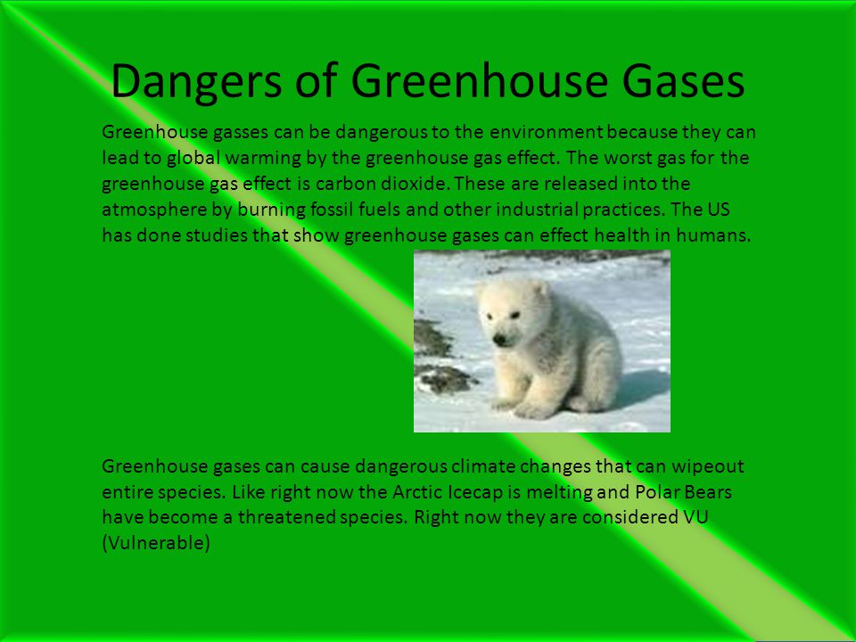 Dangers of Greenhouse Gases Greenhouse gasses can be dangerous to the environment because they can lead to global warming by the greenhouse gas effect.