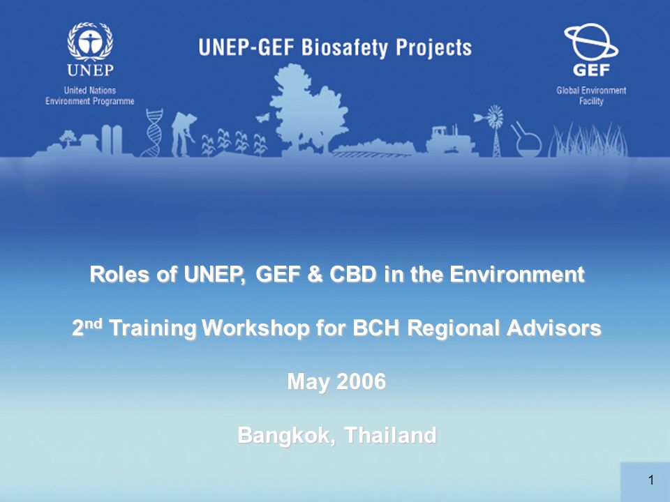 1 Roles of UNEP, GEF & CBD in the Environment 2 nd Training Workshop for BCH Regional Advisors May 2006 Bangkok, Thailand