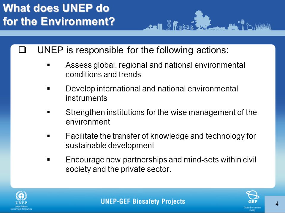 4 What does UNEP do for the Environment.