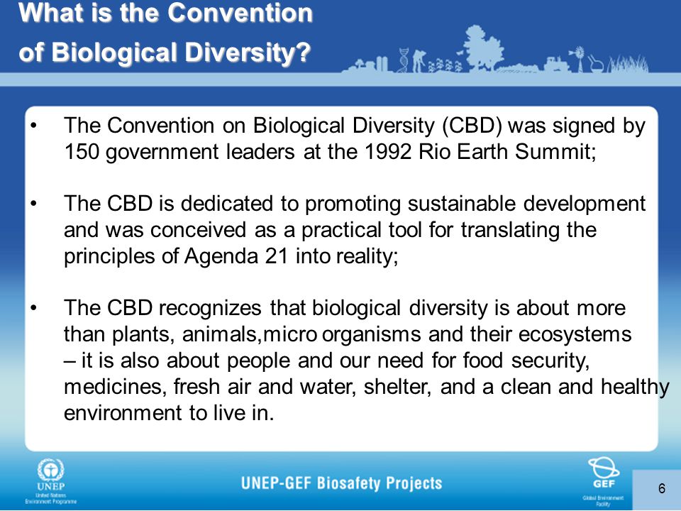 6 The Convention on Biological Diversity (CBD) was signed by 150 government leaders at the 1992 Rio Earth Summit; The CBD is dedicated to promoting sustainable development and was conceived as a practical tool for translating the principles of Agenda 21 into reality; The CBD recognizes that biological diversity is about more than plants, animals,micro organisms and their ecosystems – it is also about people and our need for food security, medicines, fresh air and water, shelter, and a clean and healthy environment to live in.