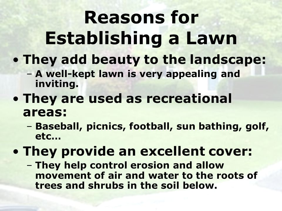 Reasons for Establishing a Lawn They add beauty to the landscape: –A well-kept lawn is very appealing and inviting.