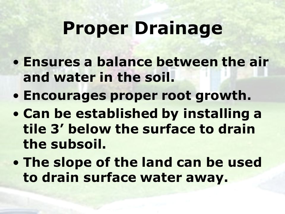 Proper Drainage Ensures a balance between the air and water in the soil.