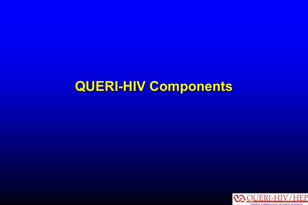 QUERI-HIV Components