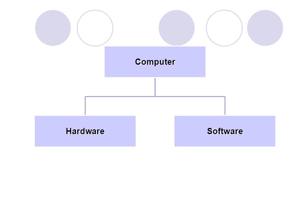 Computer HardwareSoftware