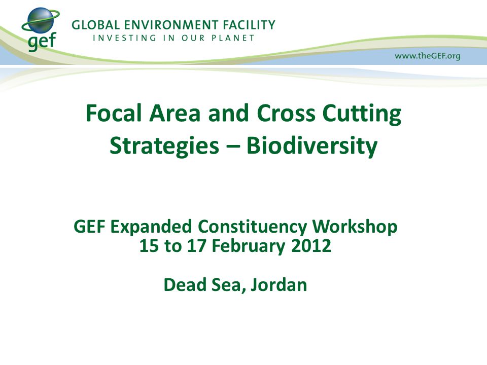 Focal Area and Cross Cutting Strategies – Biodiversity GEF Expanded Constituency Workshop 15 to 17 February 2012 Dead Sea, Jordan