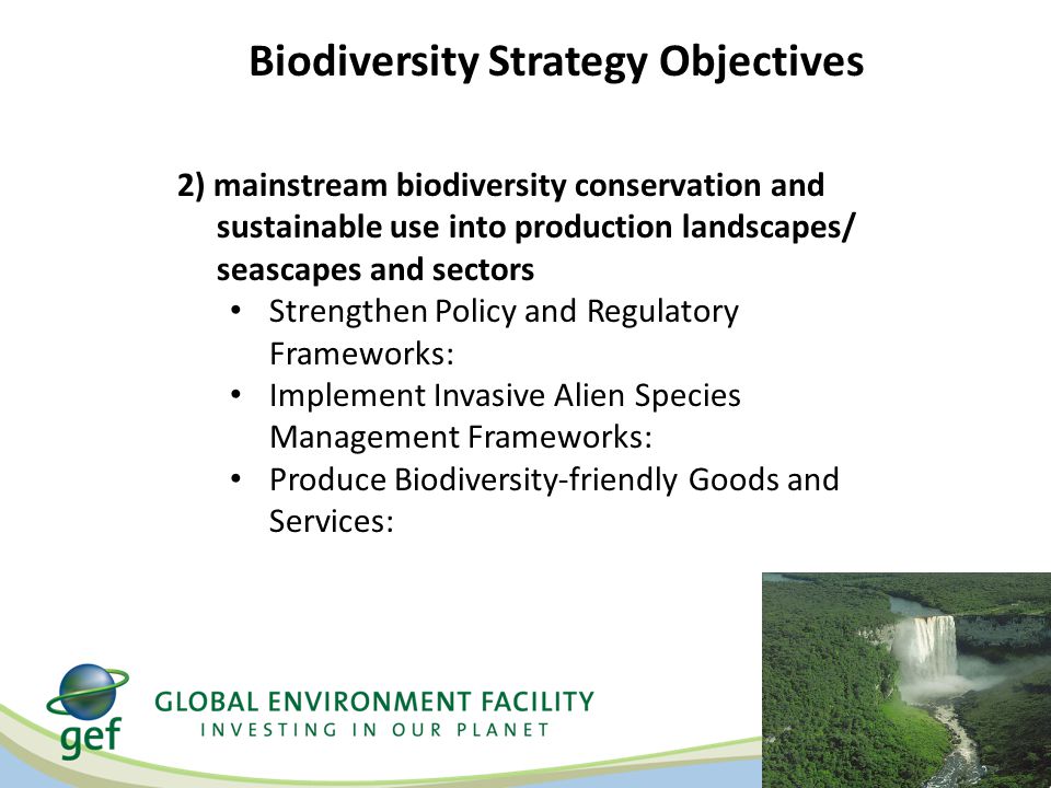 2) mainstream biodiversity conservation and sustainable use into production landscapes/ seascapes and sectors Strengthen Policy and Regulatory Frameworks: Implement Invasive Alien Species Management Frameworks: Produce Biodiversity-friendly Goods and Services: Biodiversity Strategy Objectives