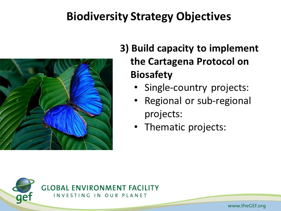 3) Build capacity to implement the Cartagena Protocol on Biosafety Single-country projects: Regional or sub-regional projects: Thematic projects: Biodiversity Strategy Objectives