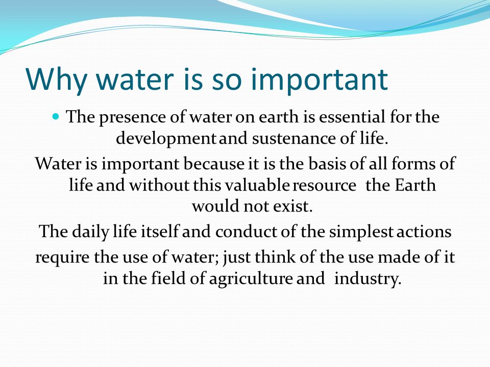 why is water essential to life on earth