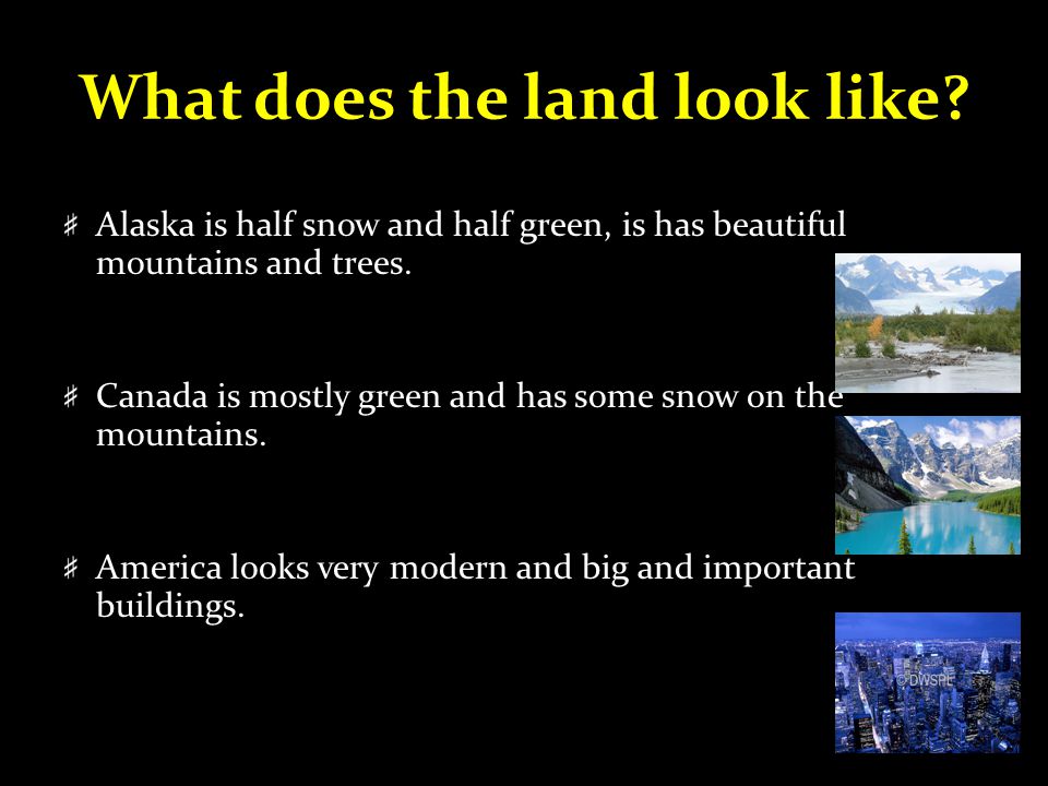 What does the land look like.