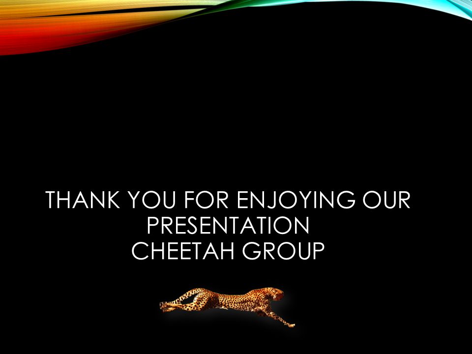 THANK YOU FOR ENJOYING OUR PRESENTATION CHEETAH GROUP