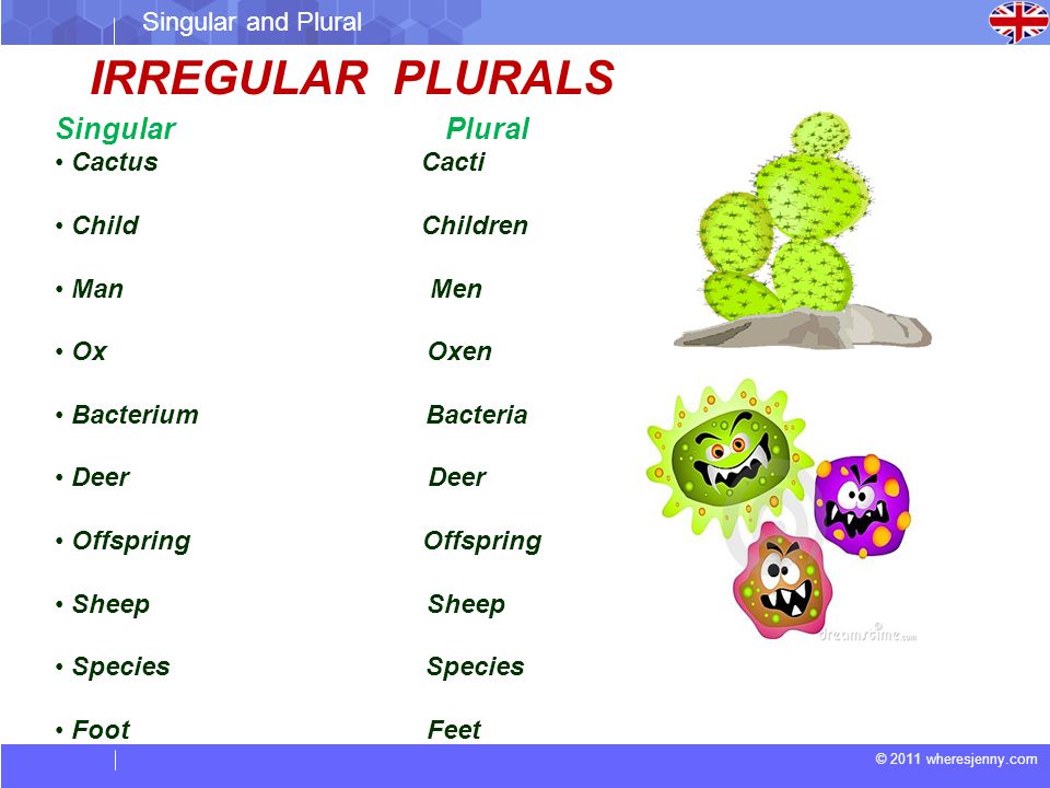 2011 Wheresjenny Com Singular And Plural Singular And Plural